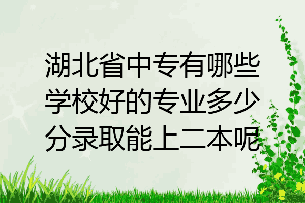 湖北省中专有哪些学校好的专业多少分录取能上二本呢