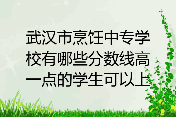 武汉市烹饪中专学校有哪些分数线高一点的学生可以上