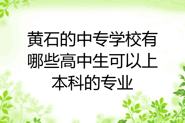 黄石的中专学校有哪些高中生可以上本科的专业
