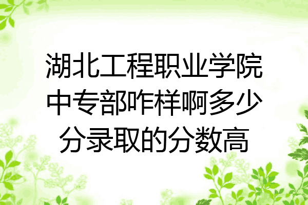湖北工程职业学院中专部咋样啊多少分录取的分数高