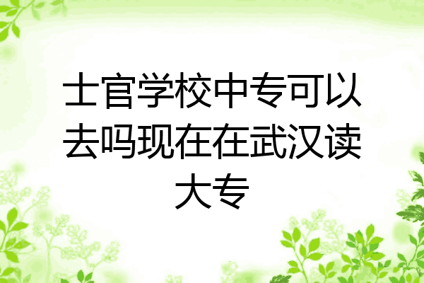士官学校中专可以去吗现在在武汉读大专