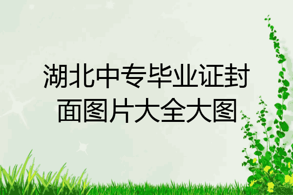 湖北中专毕业证封面图片大全大图