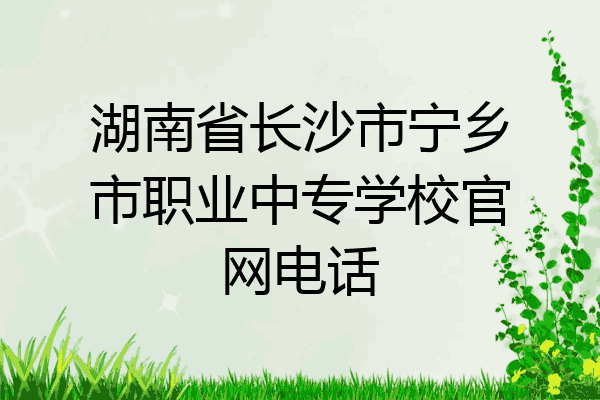 湖南省长沙市宁乡市职业中专学校官网电话