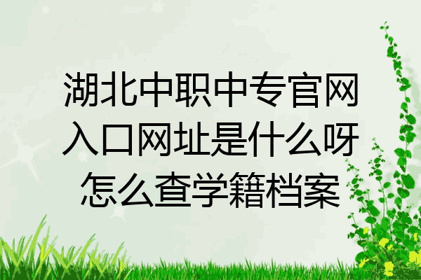 湖北中职中专官网入口网址是什么呀怎么查学籍档案