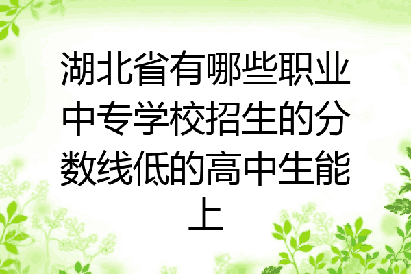 湖北省有哪些职业中专学校招生的分数线低的高中生能上