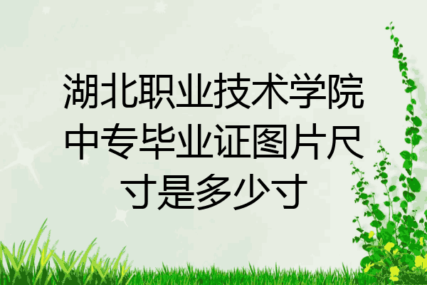 湖北职业技术学院中专毕业证图片尺寸是多少寸