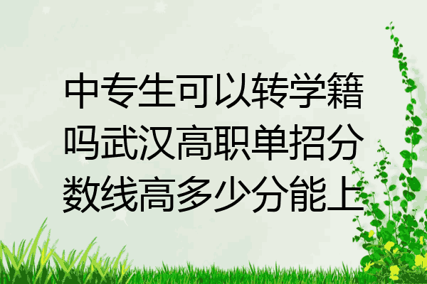 中专生可以转学籍吗武汉高职单招分数线高多少分能上