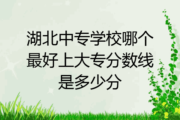 湖北中专学校哪个最好上大专分数线是多少分