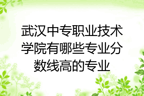 武汉中专职业技术学院有哪些专业分数线高的专业