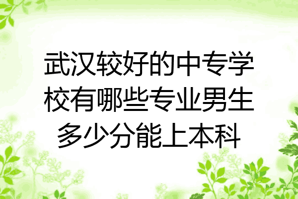 武汉较好的中专学校有哪些专业男生多少分能上本科