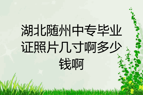 湖北随州中专毕业证照片几寸啊多少钱啊