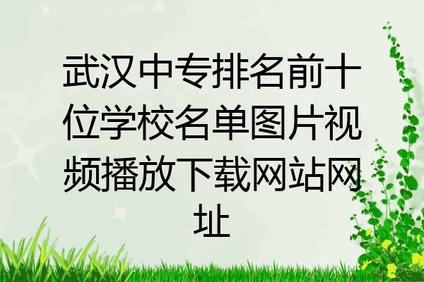 武汉中专排名前十位学校名单图片视频播放下载网站网址