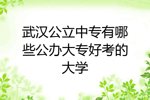 武汉公立中专有哪些公办大专好考的大学