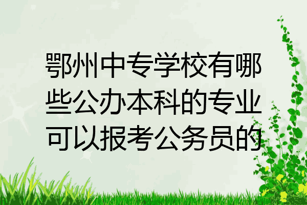 鄂州中专学校有哪些公办本科的专业可以报考公务员的