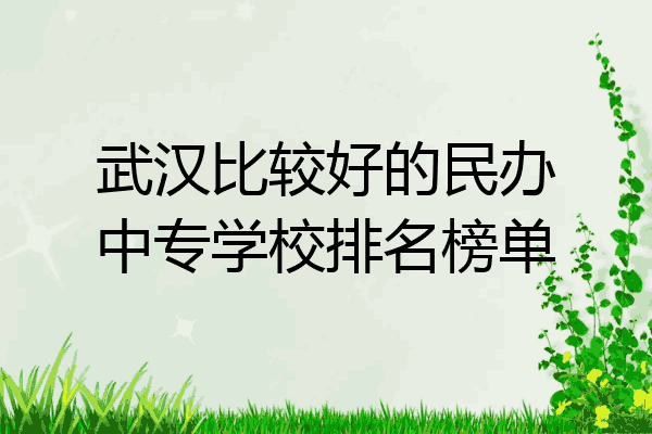 武汉比较好的民办中专学校排名榜单