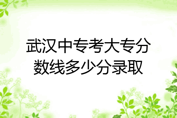 武汉中专考大专分数线多少分录取