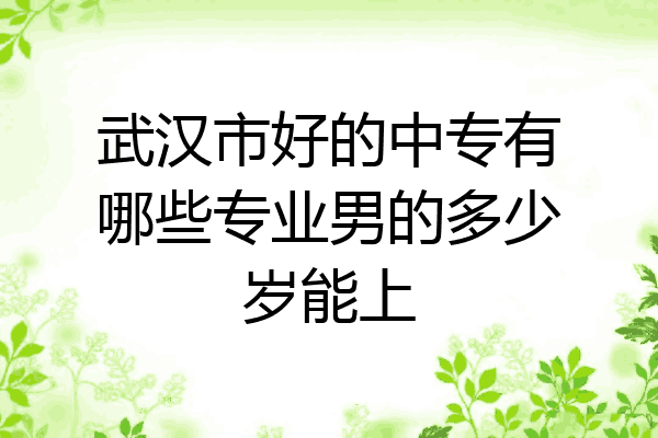 武汉市好的中专有哪些专业男的多少岁能上