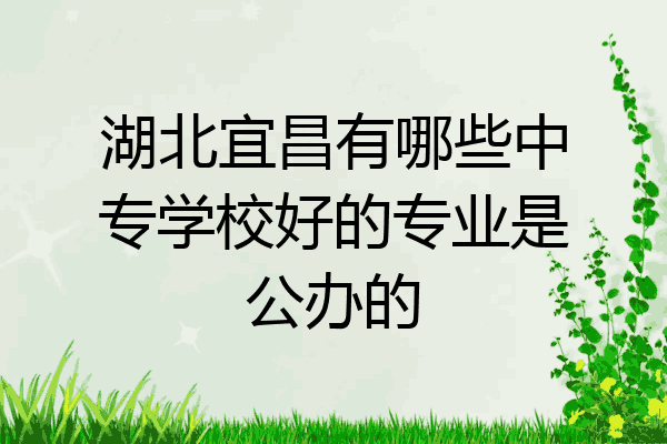 湖北宜昌有哪些中专学校好的专业是公办的