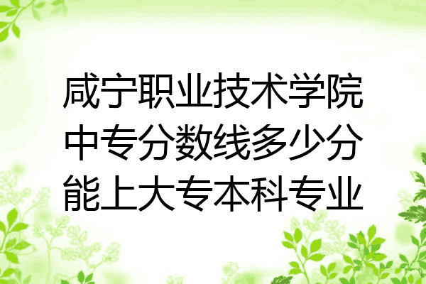 咸宁职业技术学院中专分数线多少分能上大专本科专业