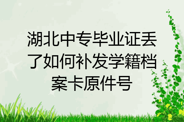 湖北中专毕业证丢了如何补发学籍档案卡原件号