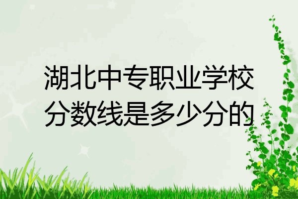 湖北中专职业学校分数线是多少分的