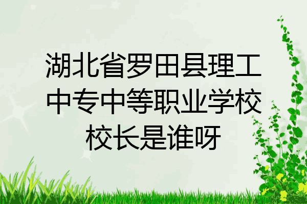 湖北省罗田县理工中专中等职业学校校长是谁呀