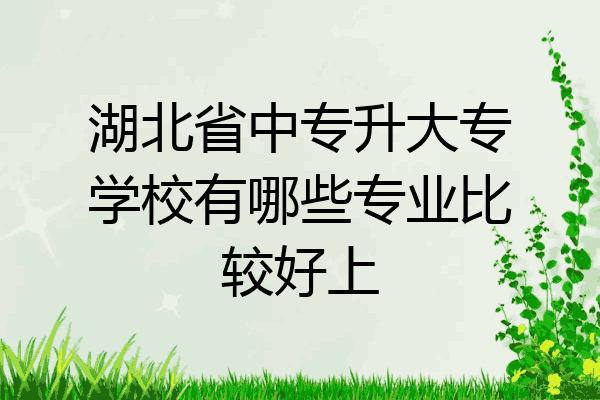 湖北省中专升大专学校有哪些专业比较好上