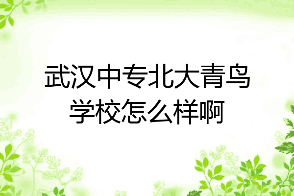 武汉中专北大青鸟学校怎么样啊