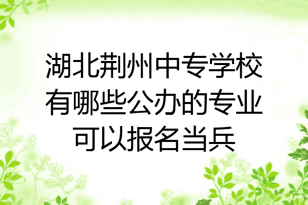 湖北荆州中专学校有哪些公办的专业可以报名当兵