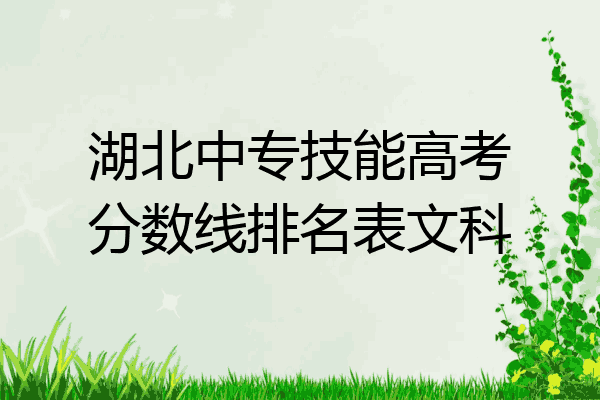 湖北中专技能高考分数线排名表文科