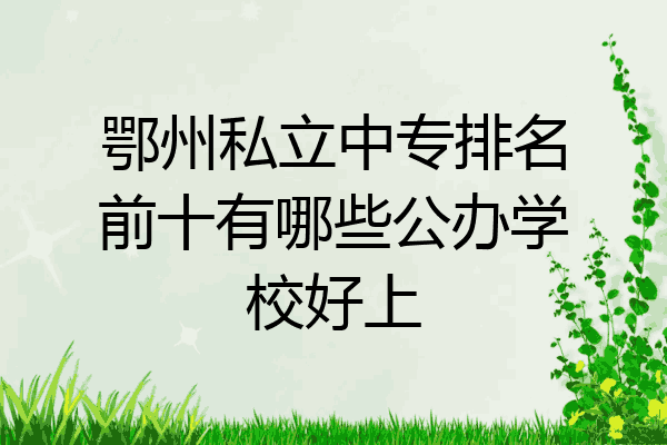 鄂州私立中专排名前十有哪些公办学校好上