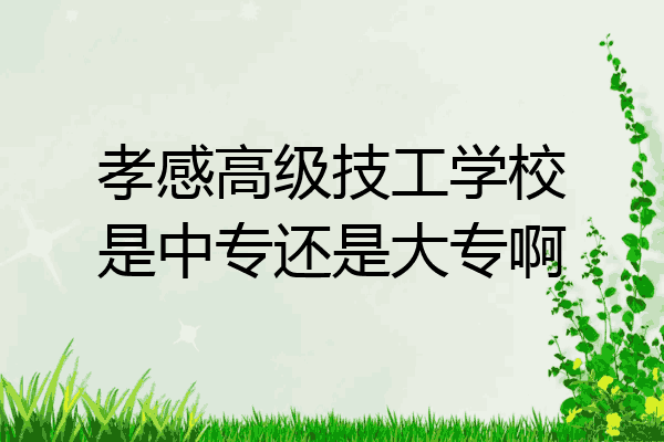 孝感高级技工学校是中专还是大专啊