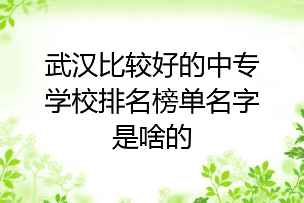 武汉比较好的中专学校排名榜单名字是啥的