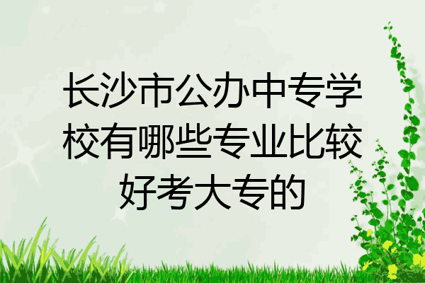 长沙市公办中专学校有哪些专业比较好考大专的