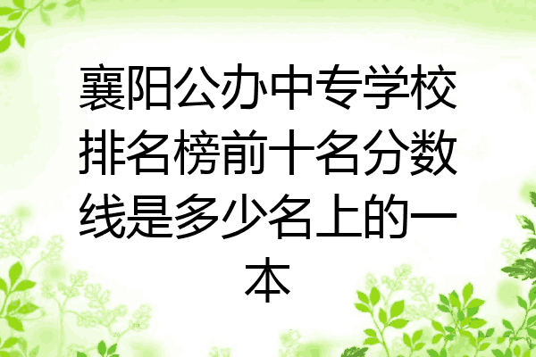 襄阳公办中专学校排名榜前十名分数线是多少名上的一本