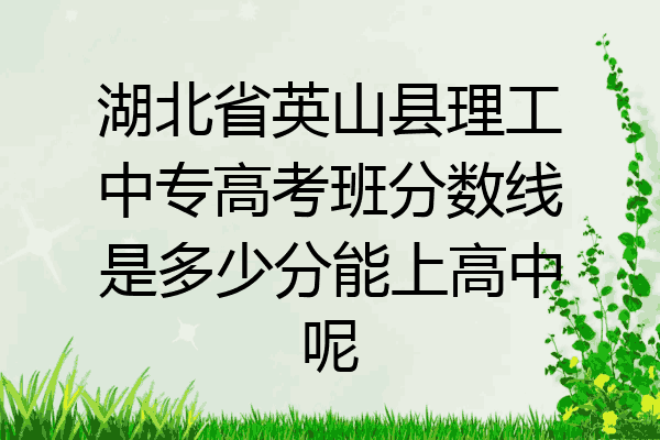 湖北省英山县理工中专高考班分数线是多少分能上高中呢