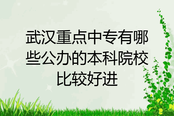 武汉重点中专有哪些公办的本科院校比较好进