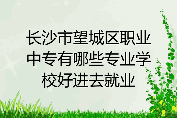 长沙市望城区职业中专有哪些专业学校好进去就业
