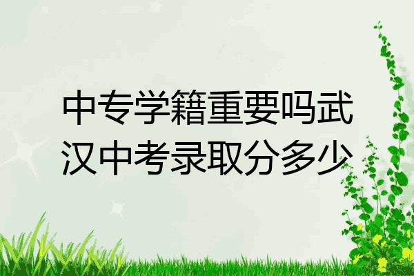中专学籍重要吗武汉中考录取分多少