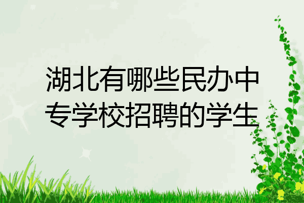 湖北有哪些民办中专学校招聘的学生