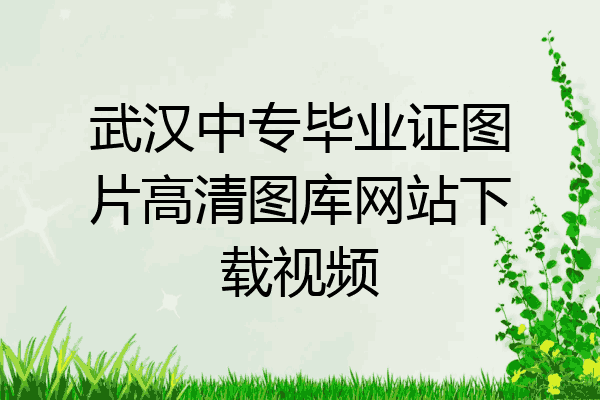 武汉中专毕业证图片高清图库网站下载视频