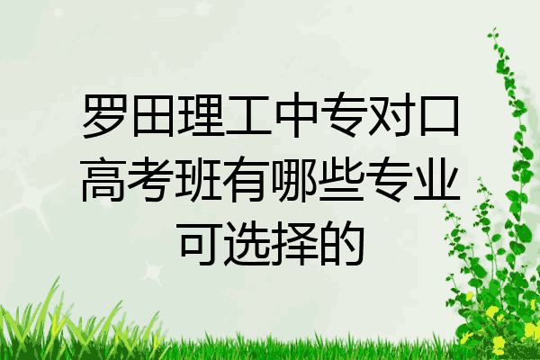 罗田理工中专对口高考班有哪些专业可选择的