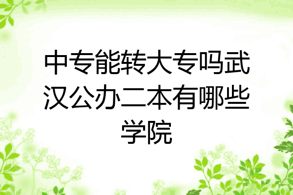 中专能转大专吗武汉公办二本有哪些学院