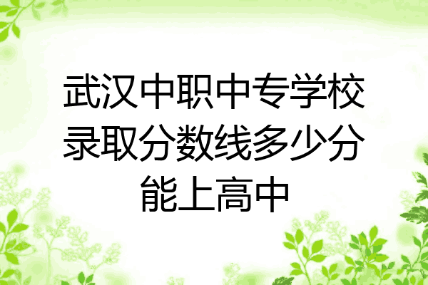 武汉中职中专学校录取分数线多少分能上高中