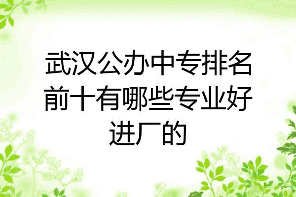 武汉公办中专排名前十有哪些专业好进厂的