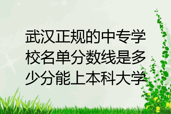 武汉正规的中专学校名单分数线是多少分能上本科大学