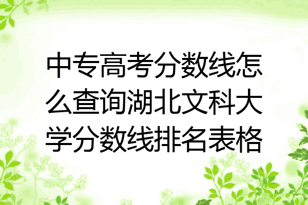 中专高考分数线怎么查询湖北文科大学分数线排名表格