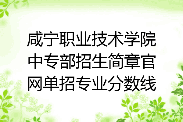 咸宁职业技术学院中专部招生简章官网单招专业分数线