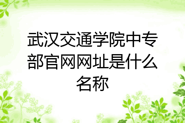 武汉交通学院中专部官网网址是什么名称