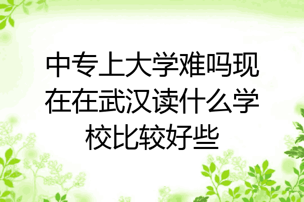 中专上大学难吗现在在武汉读什么学校比较好些